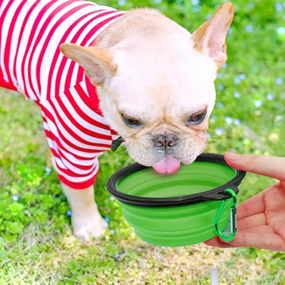 Collapsible Travel Pet Bowl with Carabiner